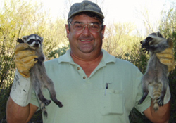 Raccoons removed from chimney