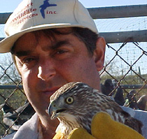 Hawk removal from pigeon coop